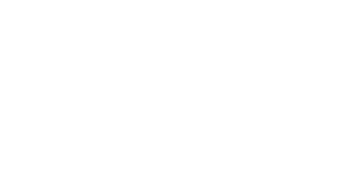 MORE by FICOL