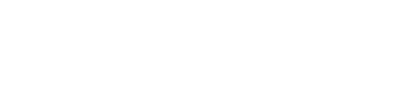 TERMINAL X